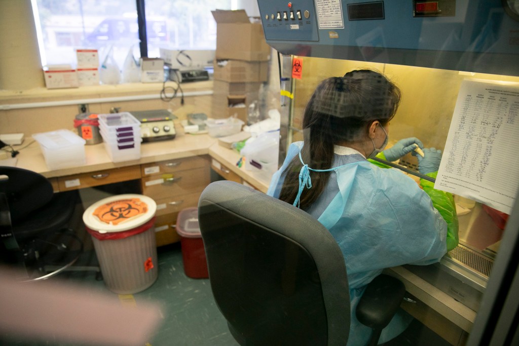 California sues as Trump cuts $600M in public health grants to four states