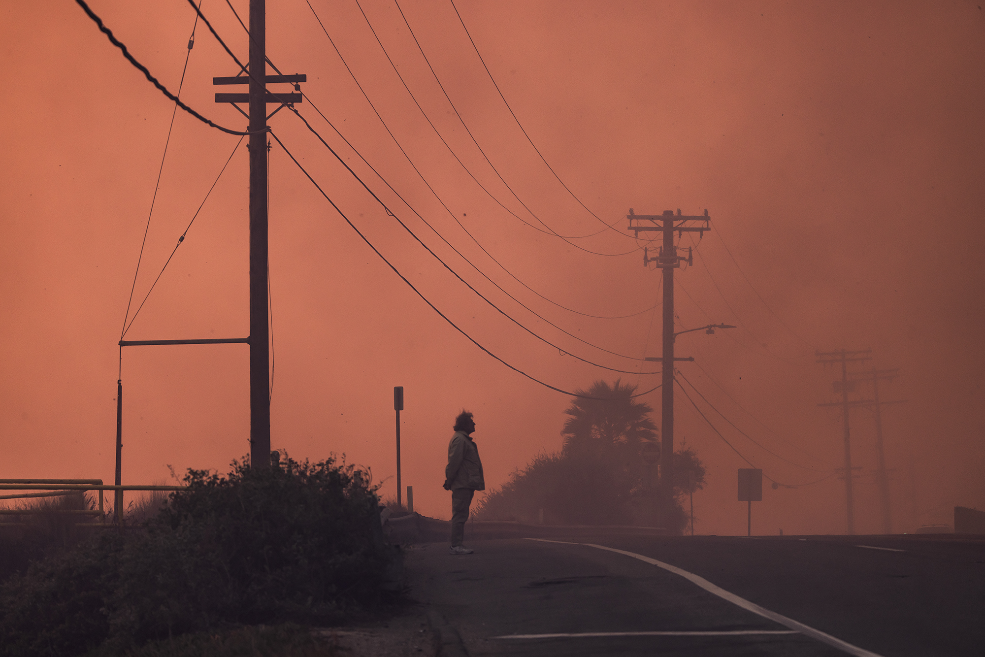 A person stands on the side of a road, silhouetted against a fiery orange sky filled with thick smoke. Overhead, power lines stretch across utility poles, and vegetation lines the foreground. The scene evokes a sense of isolation and foreboding amidst a wildfire.