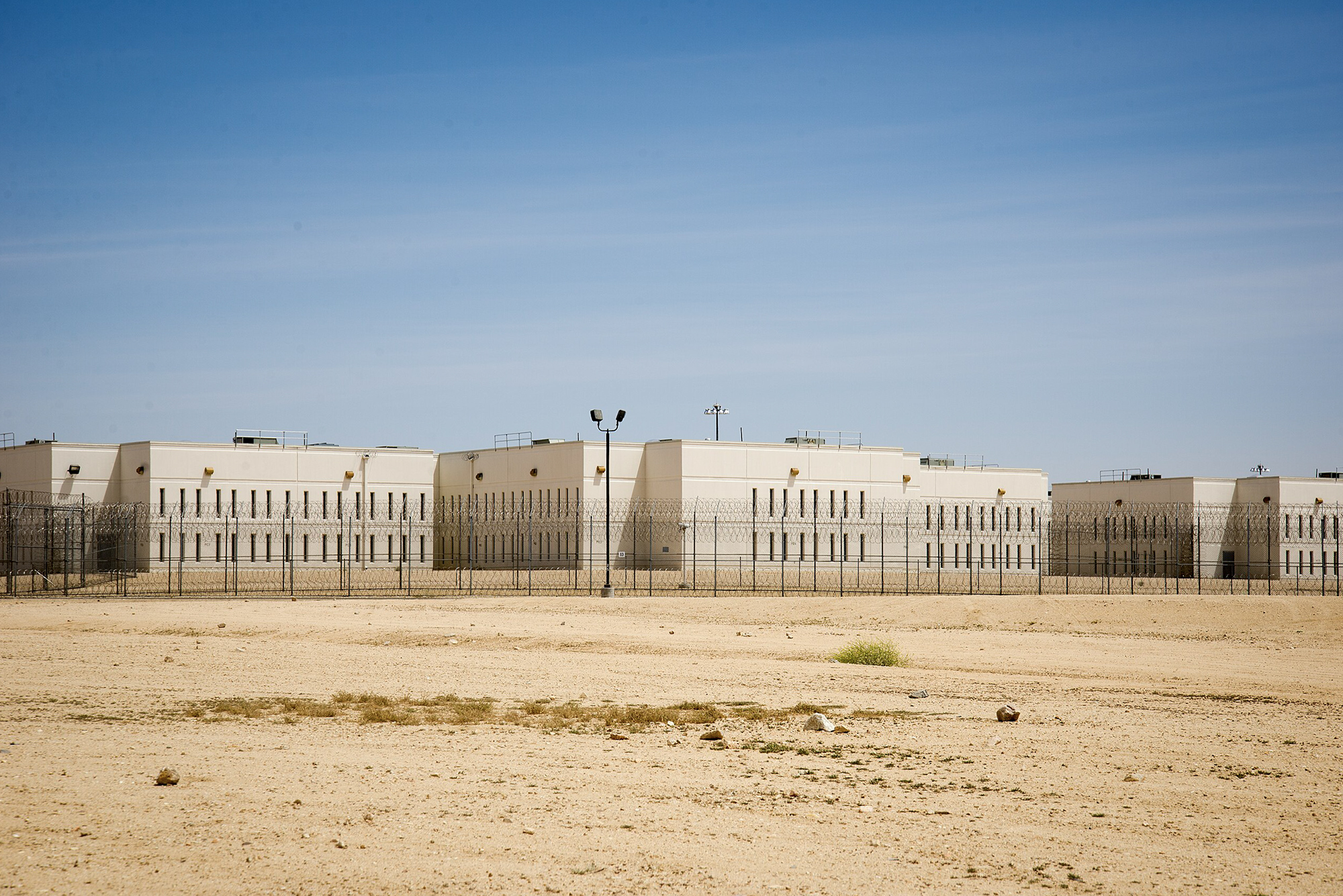 Six people died in California ICE detention centers as Trump deportations soared