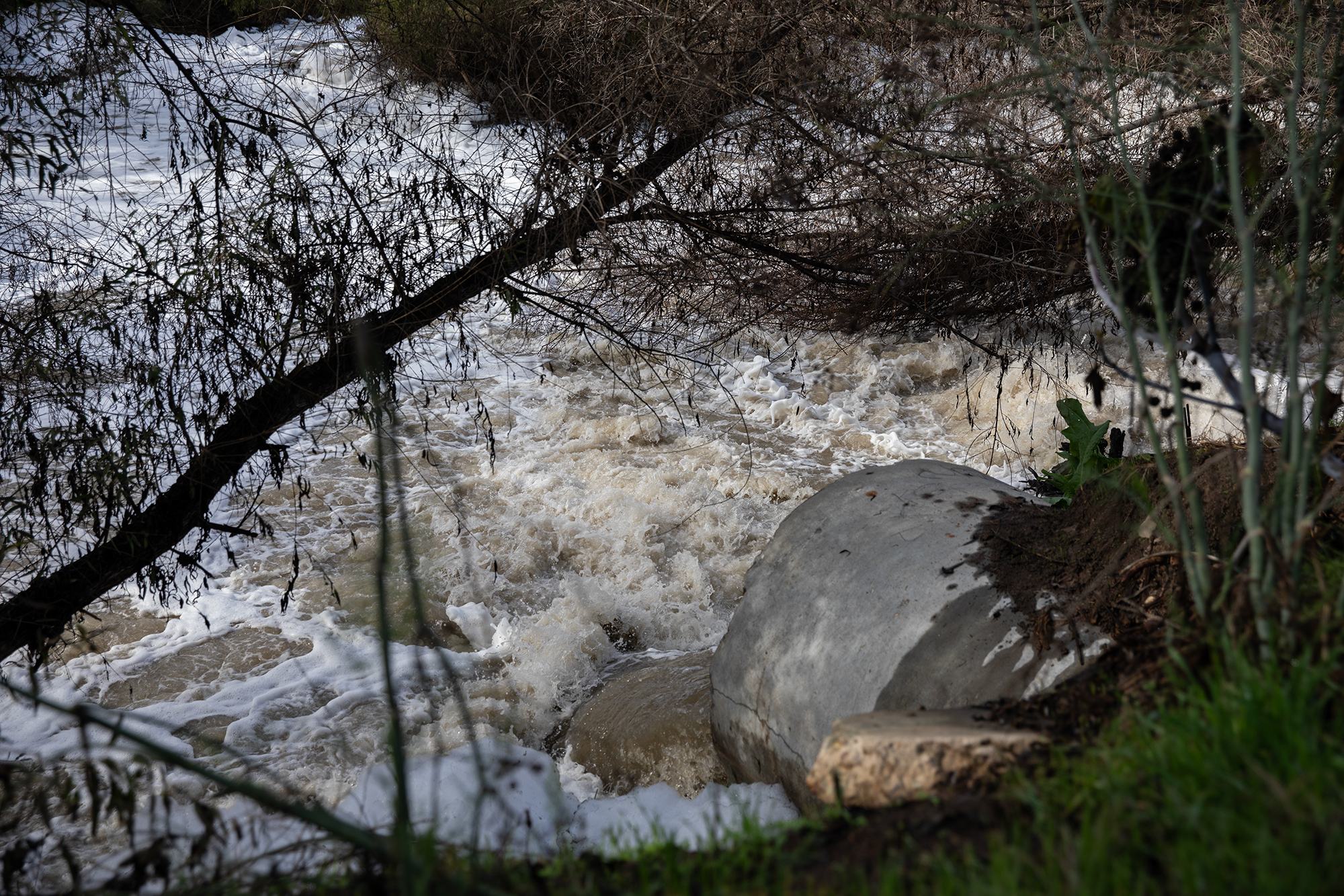 Image for Los niños se enferman y la gente no puede respirar; así es como líderes de San Diego responden a crisis de contaminación por aguas residuales
