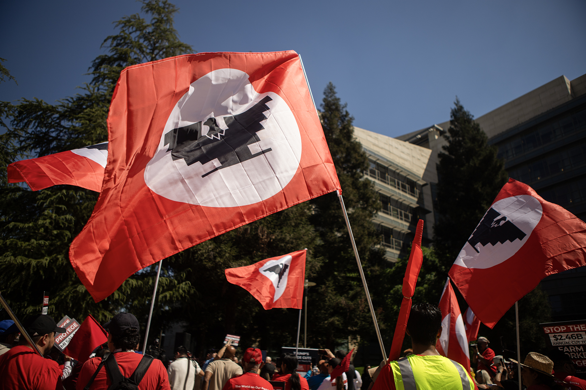 Trump administration acknowledges it needs immigrant farmworkers as it moves to cut their pay