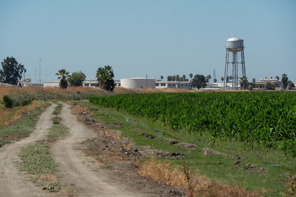 A view of a closed-down prison with a water tower view from across a field of crops and near a dirt road.